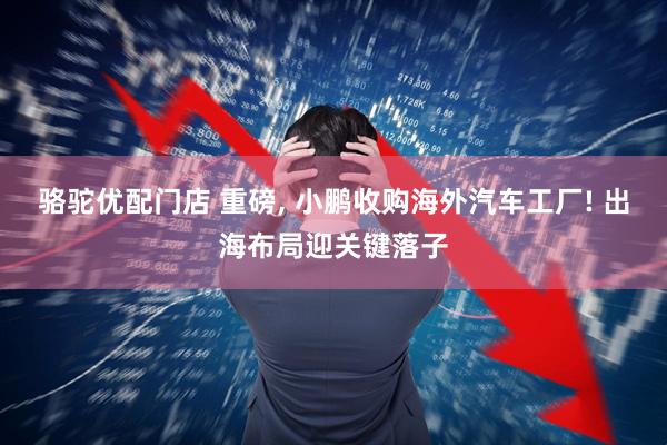骆驼优配门店 重磅, 小鹏收购海外汽车工厂! 出海布局迎关键落子