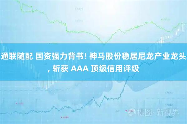 通联随配 国资强力背书! 神马股份稳居尼龙产业龙头, 斩获 AAA 顶级信用评级