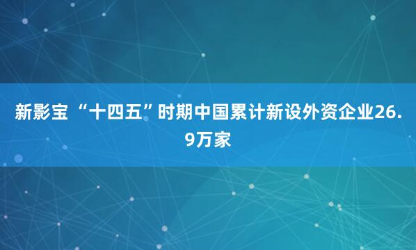 新影宝 “十四五”时期中国累计新设外资企业26.9万家