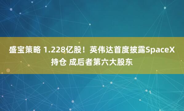盛宝策略 1.228亿股!英伟达首度披露SpaceX持仓 成后者第六大股东